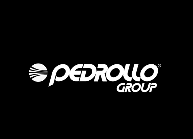 Logo Pedrollo